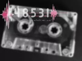 48531 podcoast#30.0